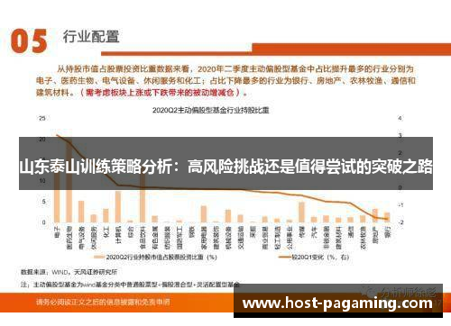 山东泰山训练策略分析：高风险挑战还是值得尝试的突破之路