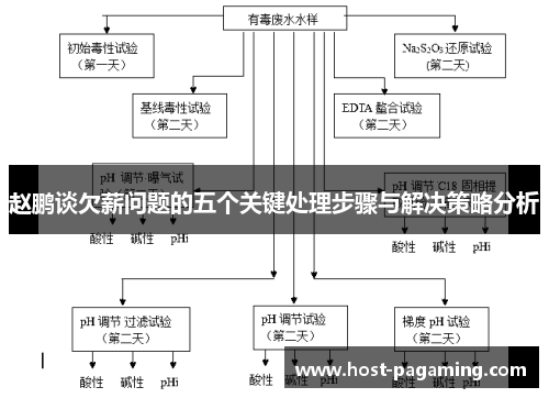 赵鹏谈欠薪问题的五个关键处理步骤与解决策略分析 赵鹏谈欠薪问题的五个关键处理步骤与解决策略分析