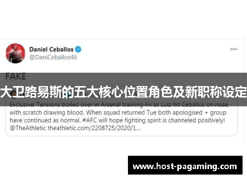 大卫路易斯的五大核心位置角色及新职称设定