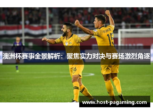 澳洲杯赛事全景解析：聚焦实力对决与赛场激烈角逐
