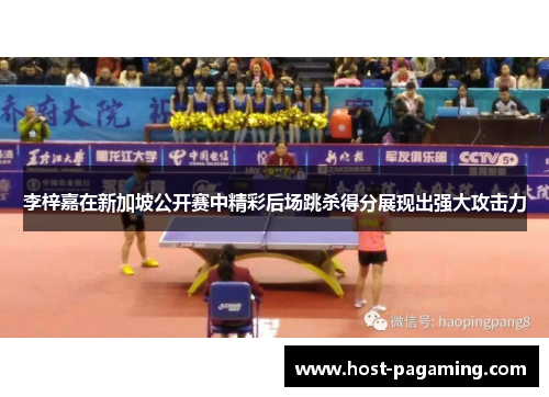 李梓嘉在新加坡公开赛中精彩后场跳杀得分展现出强大攻击力