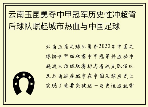 云南玉昆勇夺中甲冠军历史性冲超背后球队崛起城市热血与中国足球