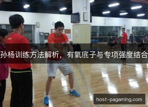 孙杨训练方法解析，有氧底子与专项强度结合